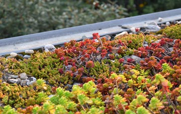 the cost of Docking green roof installation
