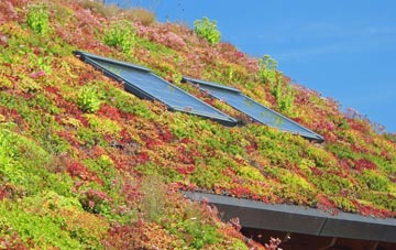 Docking living roof systems